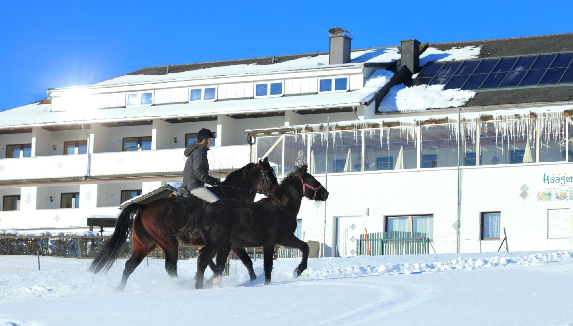 Landhotel Haagerhof Aigen im Muehlkreis Exterior photo